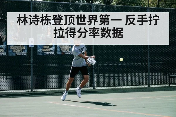 林诗栋登顶世界第一 反手拧拉得分率数据